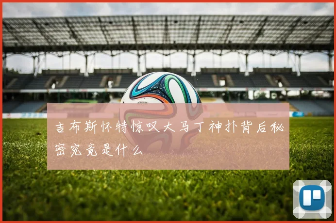 吉布斯怀特惊叹大马丁神扑背后秘密究竟是什么